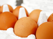 下総国（しもうさのくに）のたまご