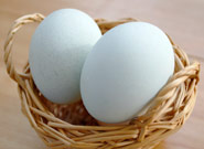 下総国（しもうさのくに）　番外編アローカナ