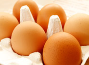 相模之国（さがみのくに）のたまご